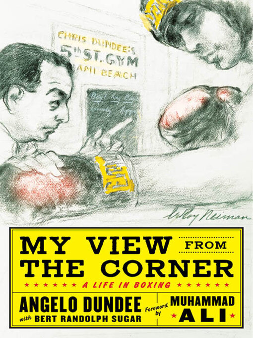 Cover image for My View from the Corner